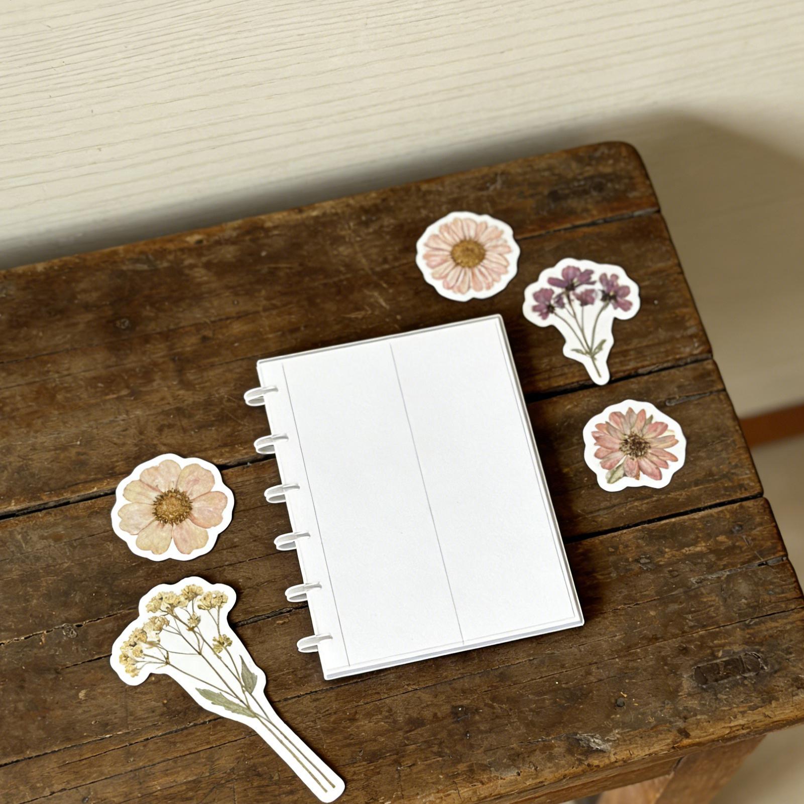 อัลบั้มรูปภาพแบบสไลด์ลงพร้อมคล - Binding Comb Plastic บทวิจารณ์และราคา